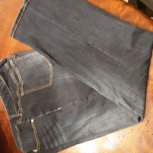 TORRID RELAXED BOOT JEAN 22R